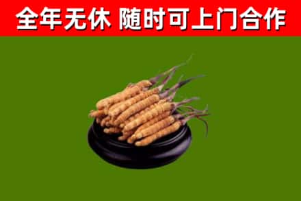宁陵县烟酒回收冬虫夏草.jpg